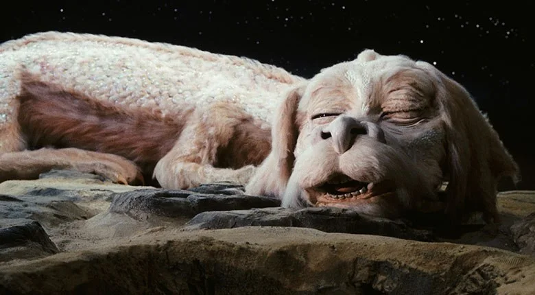 Falkor — Falkor film still · © respective rights holders · via Warner Bros.