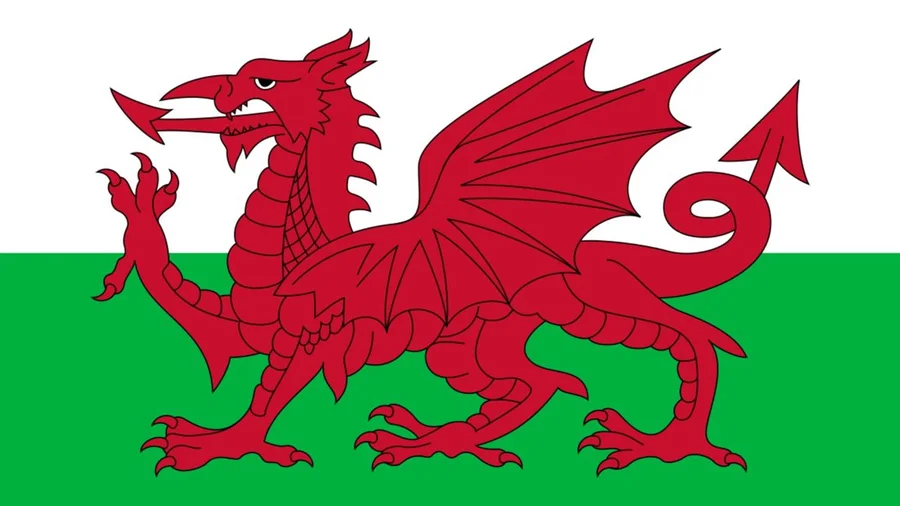 Y Ddraig Goch — Welsh flag · reference photograph via Cardiff University